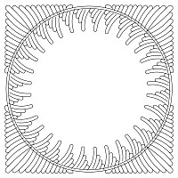 feathered compass 001 small